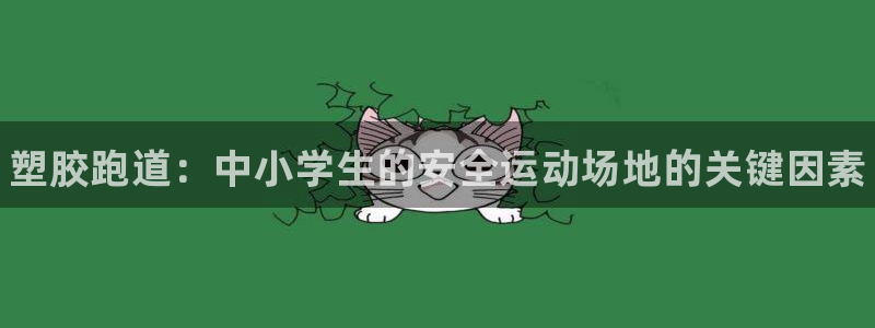 尊龙官方平台:塑胶跑道:中小学生的安全运动场地的关键因素